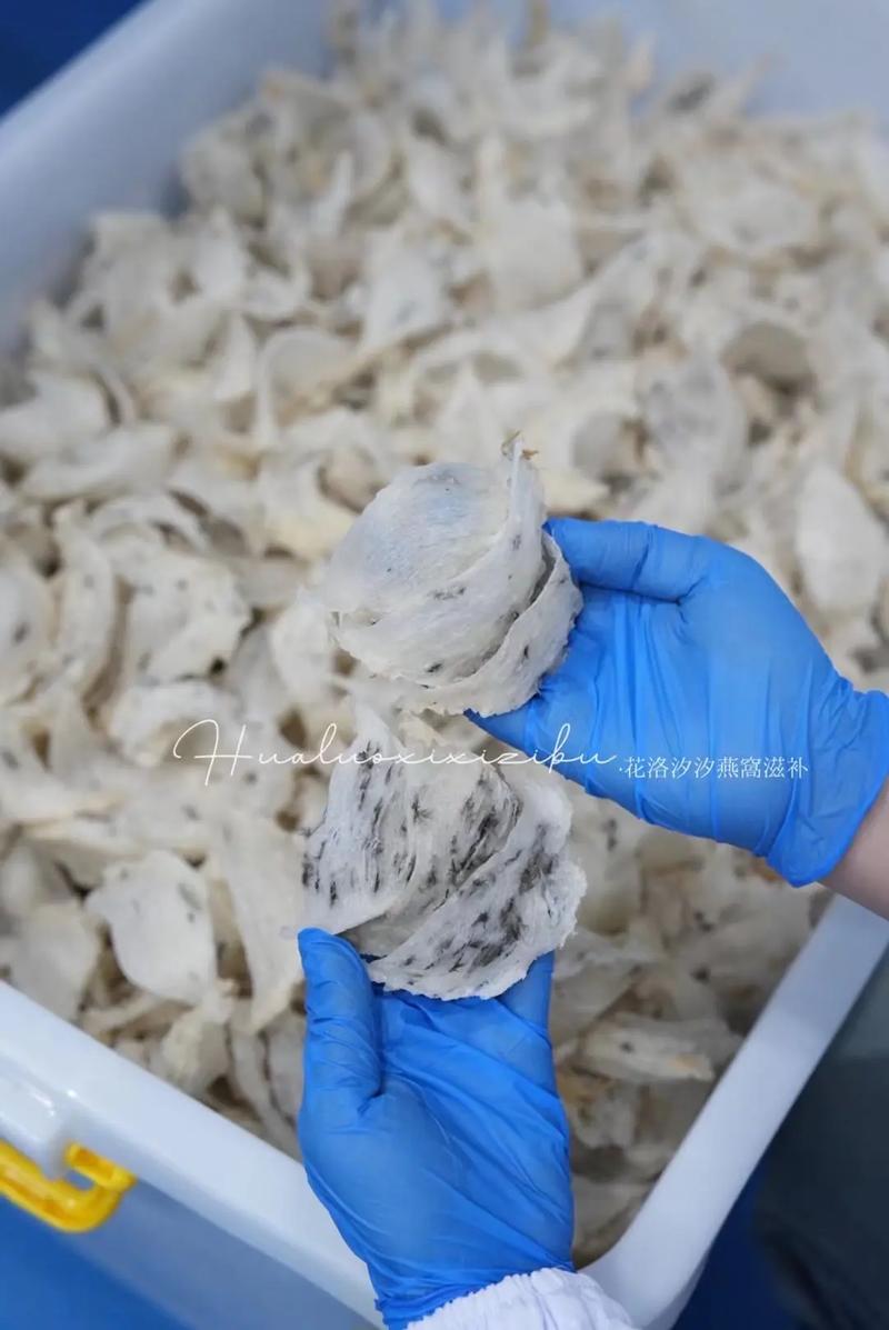 燕窝加工第一步 毛燕分类与初级农产品加工