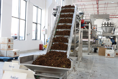 广西现代物流集团首个农产品产地仓建成投产，赋能初级农产品加工新篇章