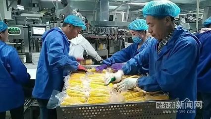 一县一品，木兰粗食“喝”起来 鲜食玉米“藏粮于技”的农产品加工新篇
