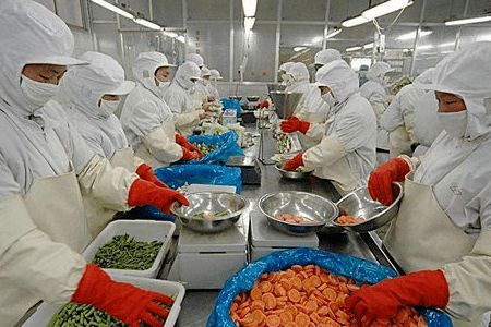 农业农村部发布2019年全国农产品加工100强企业名单 赋能初级农产品加工，助力乡村振兴