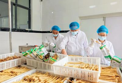 舟曲 小杂粮撑起富民大产业，从'好粮食'到'好产品'的华丽变身