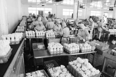 农产品就地加工与农民增收的共赢之路