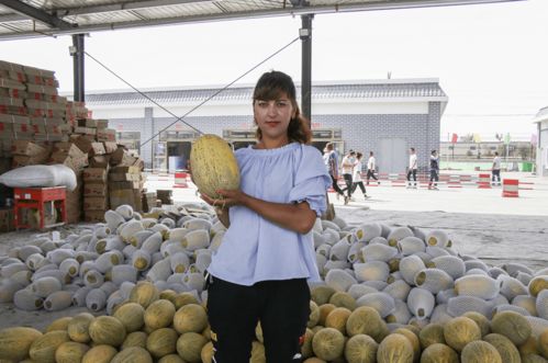 伽师瓜与大凉山干货 佛山扶贫名优农产品优惠购