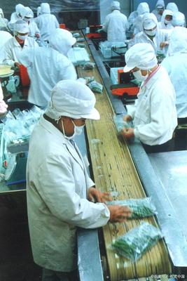 从田间到餐桌 初级农产品加工赋能农民在产业兴旺中“旺”起来